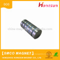 Heißer Verkauf Segment SmCo Magnet für magnetische Lautsprecher magnetisch